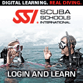 ssi_partner.jpeg