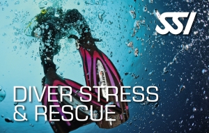 SSI Diver Stress &amp; Rescue