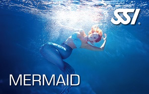 mermaid