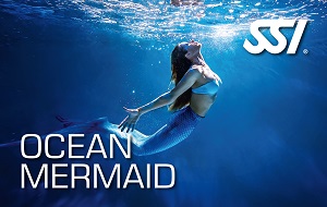 ocean-mermaid